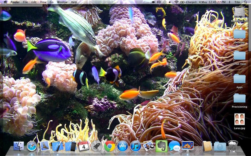 desktop aquarium wallpapers iphone screenshot 4