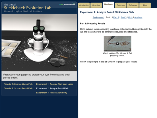 Screenshot #5 pour Stickleback Evolution Lab