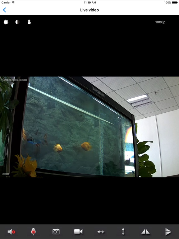 DODMiniCam iPad screenshot 4 - Photo & Video app