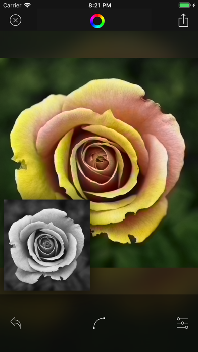 Deep Color - AIを利用した自動カラーのおすすめ画像7