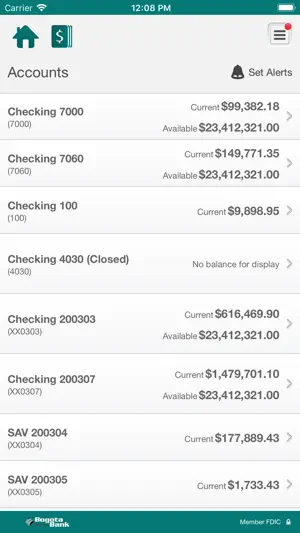BSB Business screenshot 4