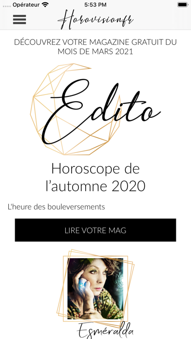 Screenshot #2 pour Horovision