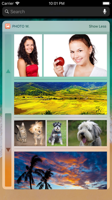 Photo Widget screenshot 4