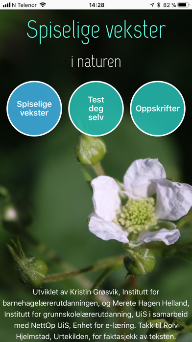 Spiselige vekster i naturen Screenshot