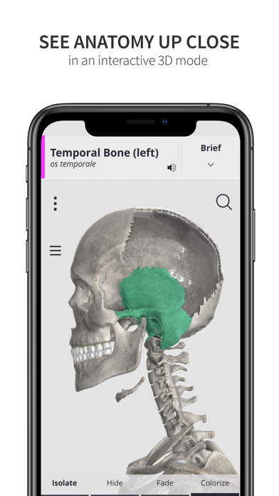 Anatomyka Skeleton Screenshot