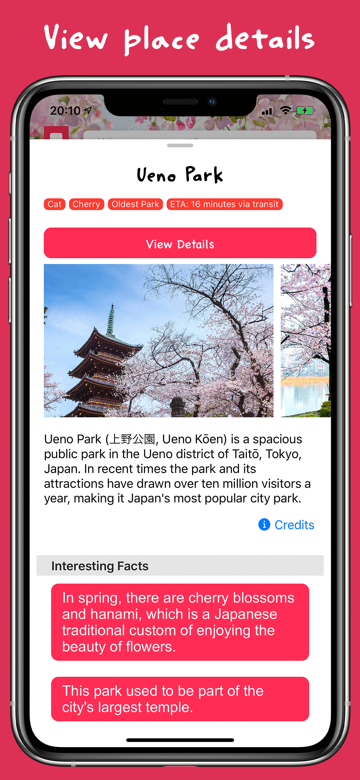 Sakura: Japan Travel Guide screenshot 3