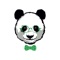 Icon Panda School