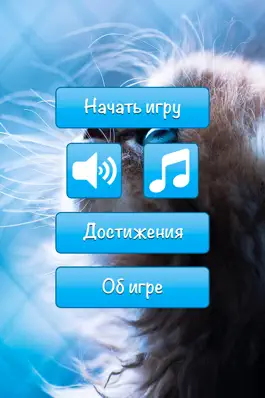 Game screenshot Найди кота для iPhone mod apk