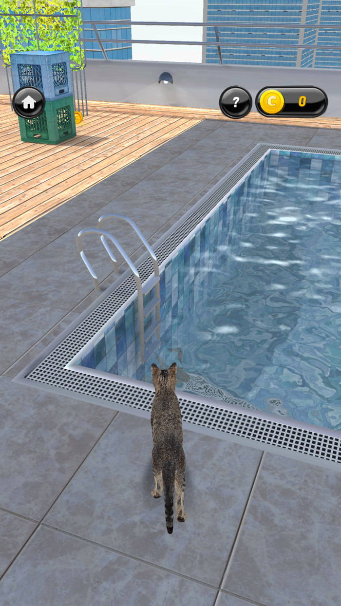 My Kitten Cat Simulator