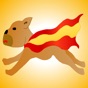 Verb Conjugations Spanish app download