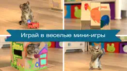 Маленький Котенок: Моя Кошечка айфон картинки 2