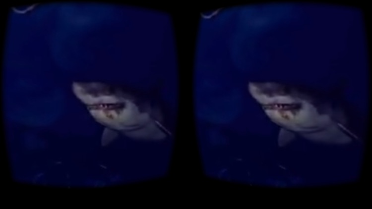 VR Movies : 2D 3D 360° Video screenshot-3