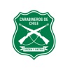 Carabineros de Chile icon