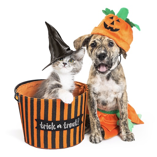 Halloween Pets Sticker Pack icon