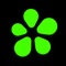 ICQ is a messenger for those who are always online