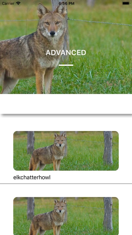 Coyote Calls - Hunting Sounds screenshot-4