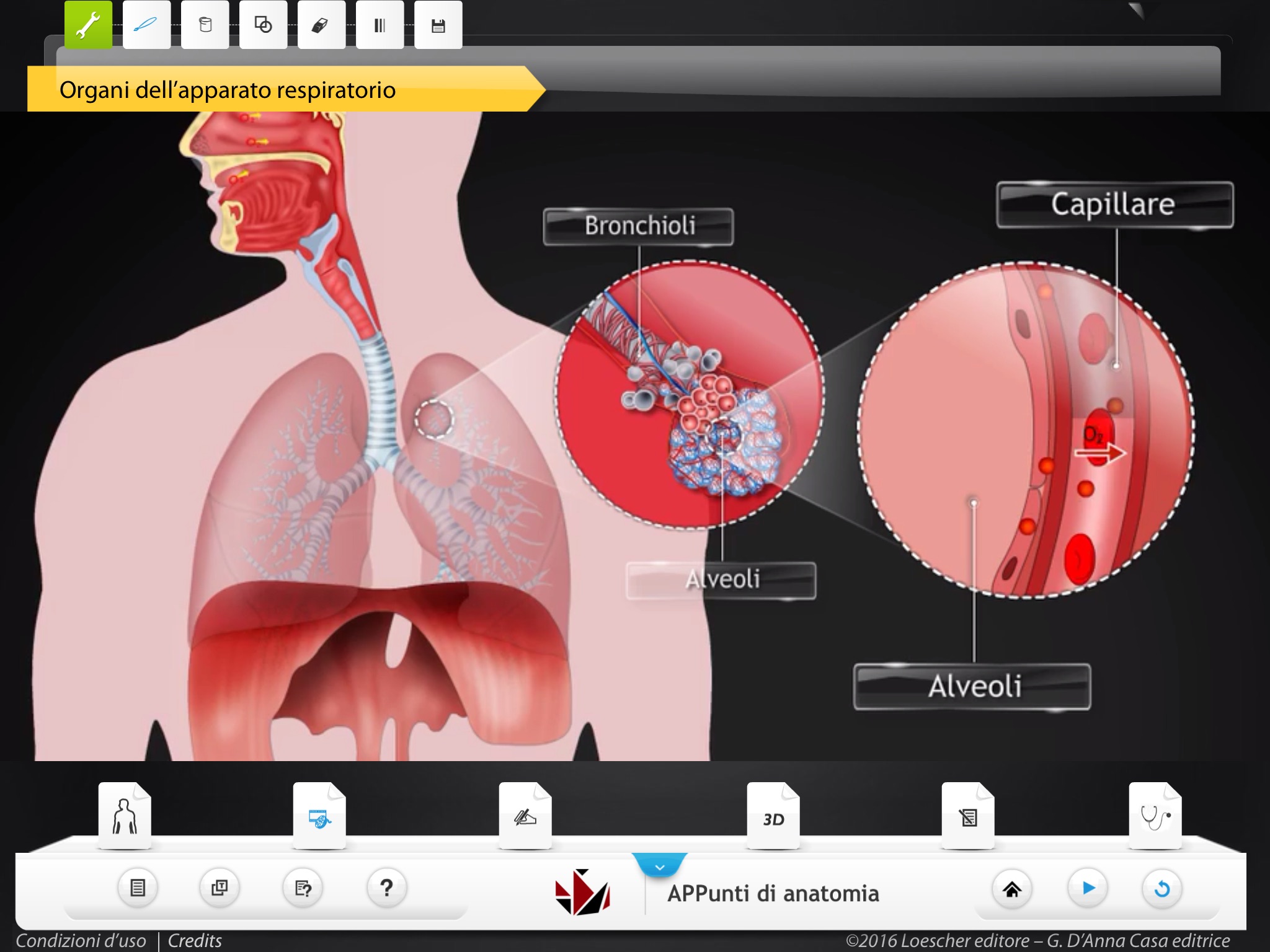 APPunti di anatomia Lite screenshot 3