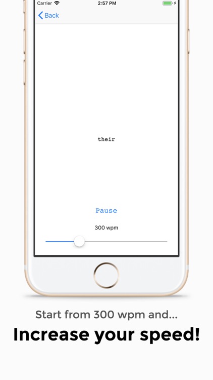Blitz! Pro Speed Reader