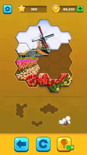 Hexa Jigsaw Puzzle ® screenshot 4