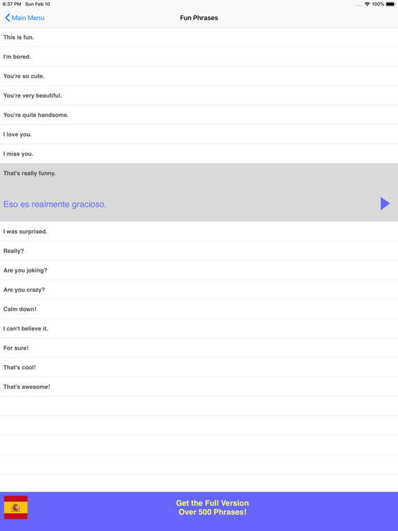 Speak Spanish Phrasebook Lite iPad screenshot 5 - Travel app
