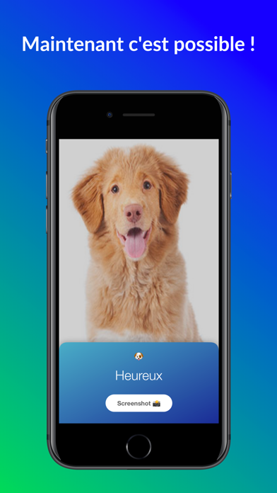 Screenshot #2 pour Pettitude