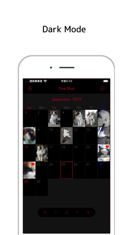 Day Photo screenshot-5