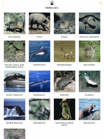 NWF Guide to Mammalsのおすすめ画像1