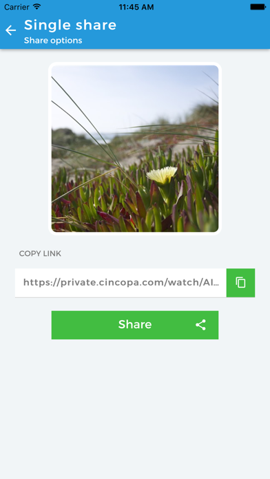 CincopaShare iPhone screenshot 5 - Photo & Video app