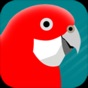 Pizzey and Knight Birds of Aus app download