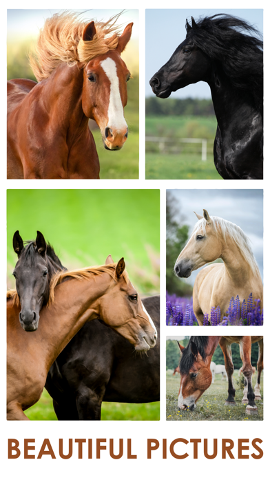 Horse Jigsaw Puzzle Games screenshot 2