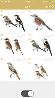 دليل الطيور في الشرق الأوسط problems & solutions and troubleshooting guide - 3
