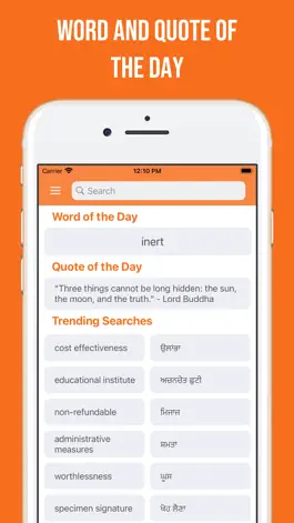 Game screenshot Punjabi and English Dictionary mod apk