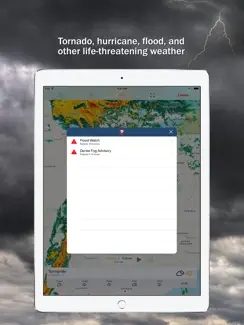 Storm Shield iPad image 3