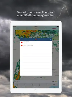 Storm Shield screenshot 10