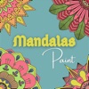 Paint and color Mandalas icon