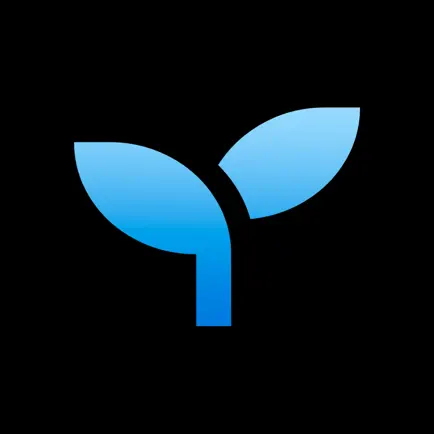Mindle Читы