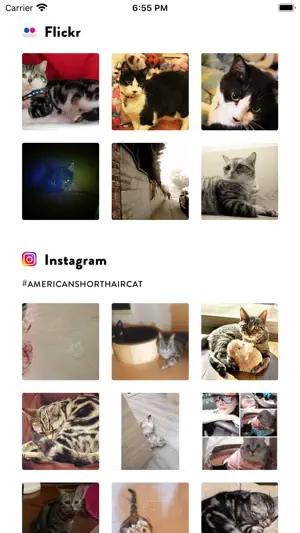 Cat Breed Scanner — CatsPedia screenshot 4