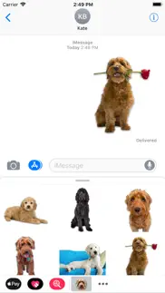 goldendoodle sticker pack iphone resimleri 2