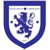 TICD icon
