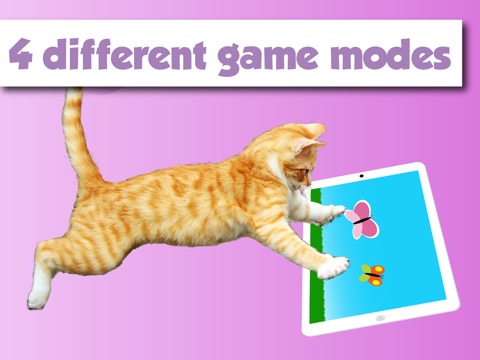 ハッピーキャットは猫や子猫用のゲームです。のおすすめ画像3