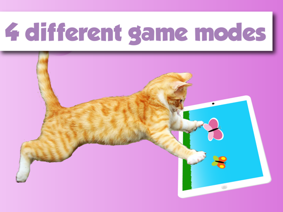 Screenshot #6 pour HappyCats Jeux pour Chats