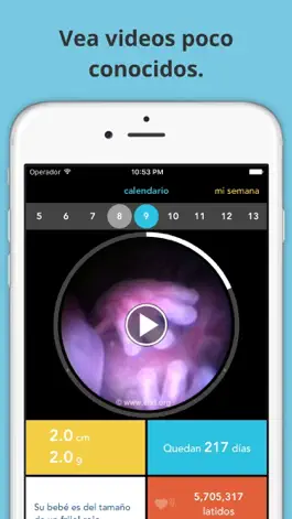 Game screenshot Guía de embarazo See Baby mod apk