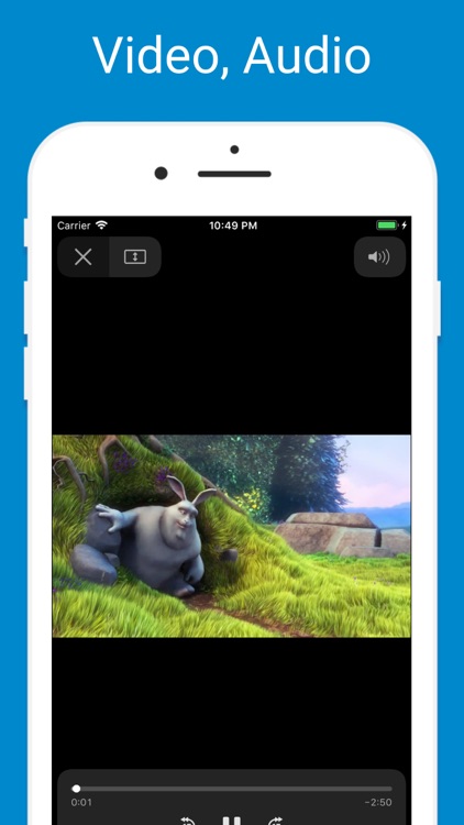 Browser - Offline File Manager screenshot-3