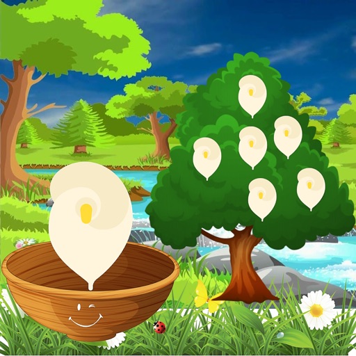 DropCorrectEquationFlower