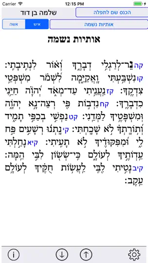 Esh Neshama אש נשמה iPhone Screenshot 2