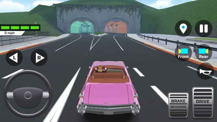 Car Driving School Simulator ! screenshot-6