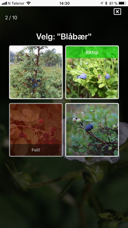 Spiselige vekster i naturen screenshot-4