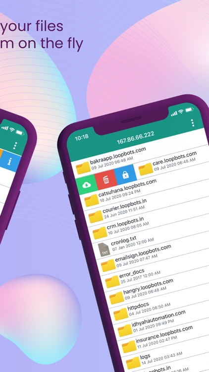 FTP Client - FTP Server Files