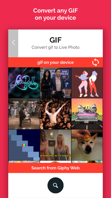 LivGIF - Discover &Convert GIF Screenshot