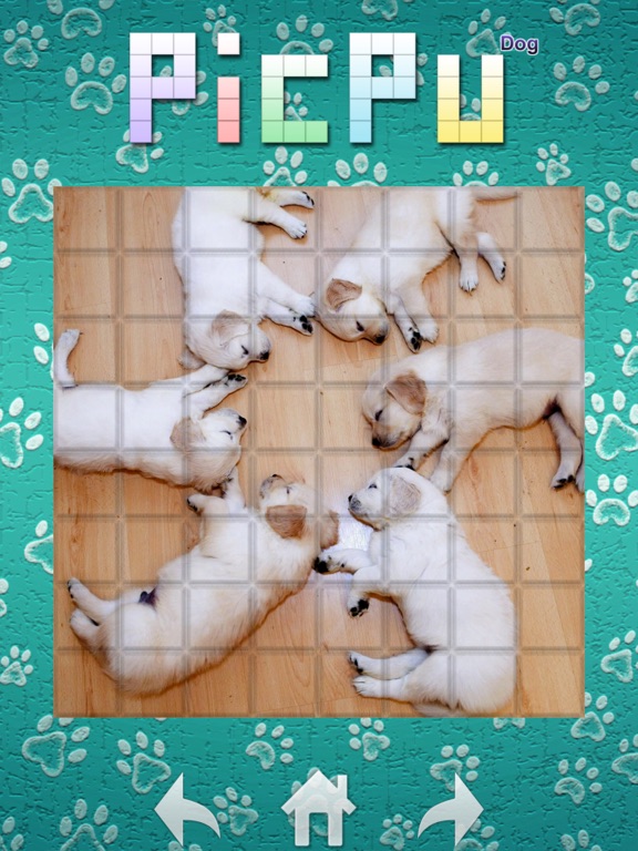 PicPu - Dog Picture Puzzle Screenshots